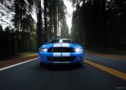 Shelby GT500